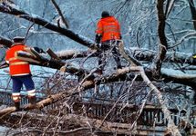 Снегопад в Москве: один человек погиб, пятеро пострадали