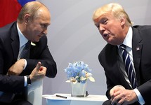 WSJ: Путин просил Курца помочь устроить встречу с Трампом